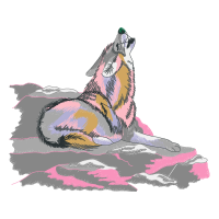 Bengal Tiger Animals