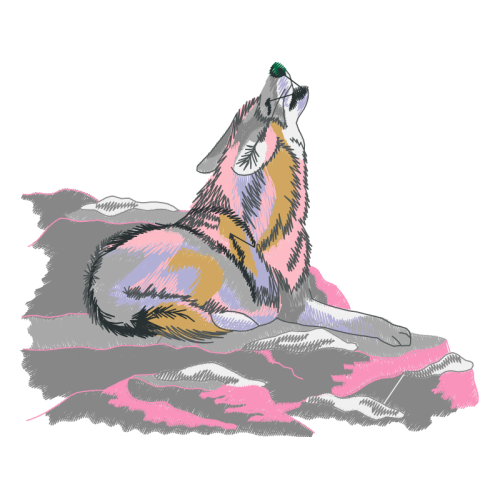 Bengal Tiger Animals Bengal Tiger Animals