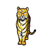 Bengal Tiger Animals