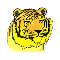 Bengal Tiger Animals