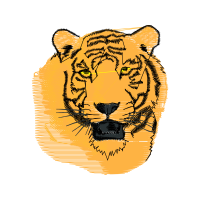 Bengal Tiger Animals