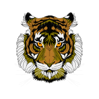 Bengal Tiger Animals Bengal Tiger Animals