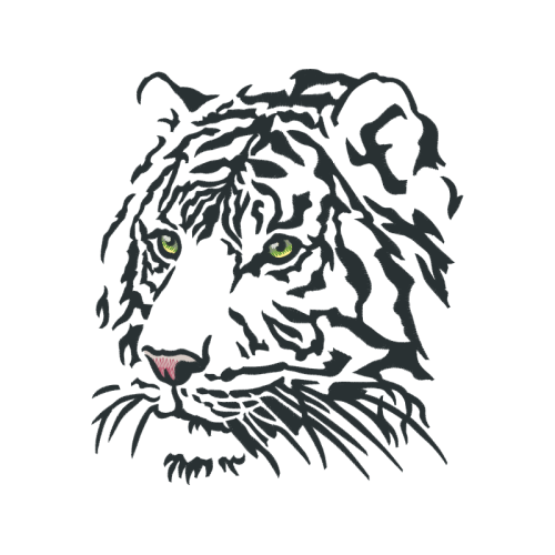 Bengal Tiger Animals Bengal Tiger Animals