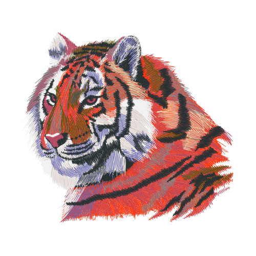 Bengal Tiger Animals Bengal Tiger Animals