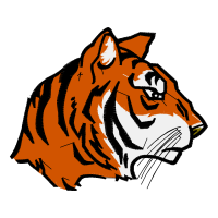 Bengal Tiger Animals