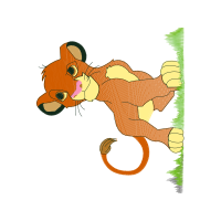 Bengal Tiger Animals