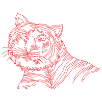 Bengal Tiger Animals Bengal Tiger Animals