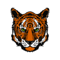 Bengal Tiger Animals