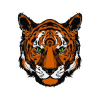 Bengal Tiger Animals