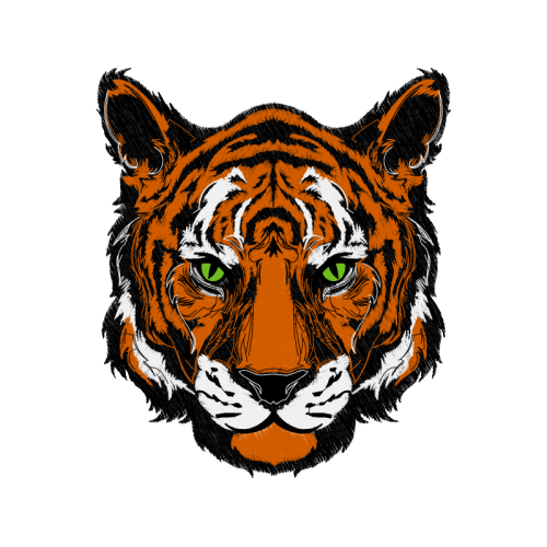 Bengal Tiger Animals Bengal Tiger Animals