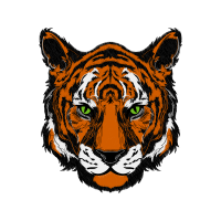 Bengal Tiger Animals