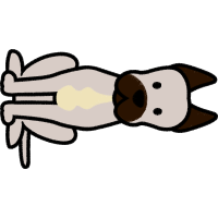 Birman Animals Birman Animals