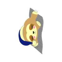 Brown Bear Animals Brown Bear Animals