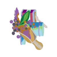 Brown Bear Animals Brown Bear Animals