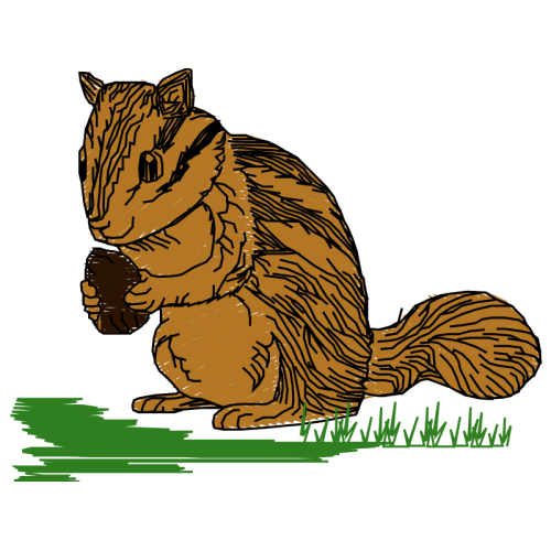 Brown Bear Animals Brown Bear Animals