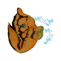 Brown Bear Animals Brown Bear Animals