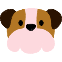 Brown Bear Animals Brown Bear Animals