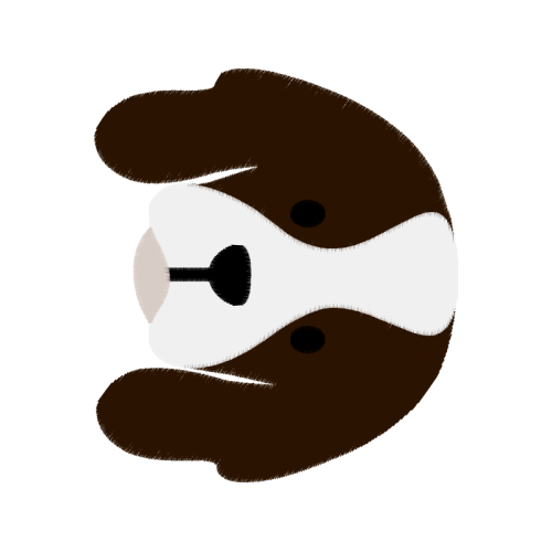 Brown Bear Animals Brown Bear Animals