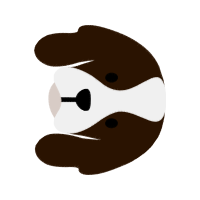 Brown Bear Animals Brown Bear Animals