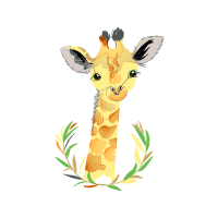 Cartoon Animals Cartoon Animals