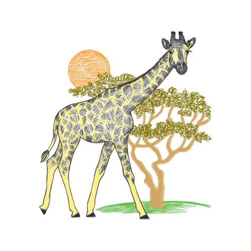 Cartoon Animals Cartoon Animals