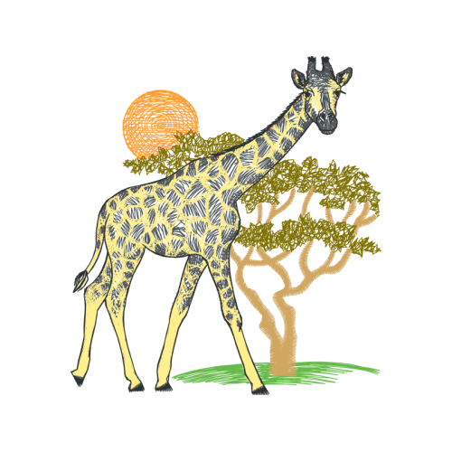 Cartoon Animals Cartoon Animals