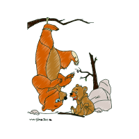 Cartoon Animals Cartoon Animals