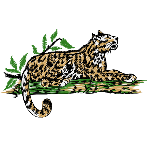 Cat Animals Cat Animals