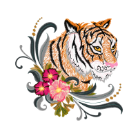 Cat Animals Cat Animals