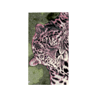 Cat Animals Cat Animals