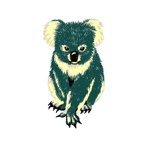 Cat Animals Cat Animals