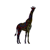 Chamois Animals Chamois Animals