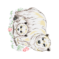 Crochet Animals Crochet Animals