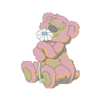 Cut Flowers Animals Cut Flowers Animals