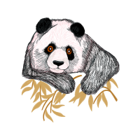 Dog Animals Dog Animals