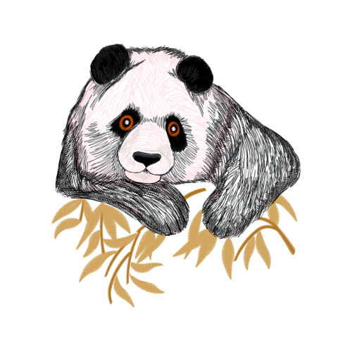 Dog Animals Dog Animals