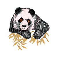 Dog Animals Dog Animals