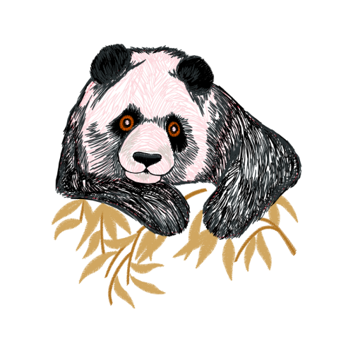 Dog Animals Dog Animals