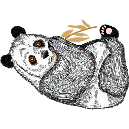 Dog Animals Dog Animals