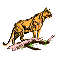 Dog Animals Dog Animals