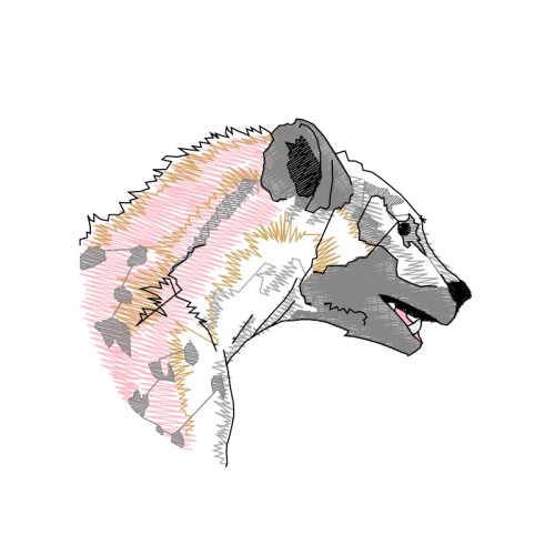 Dog Animals Dog Animals