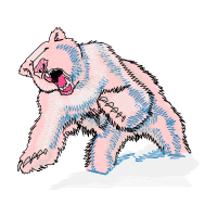 Drawing Animals Drawing Animals