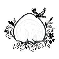 Drawing Animals Drawing Animals