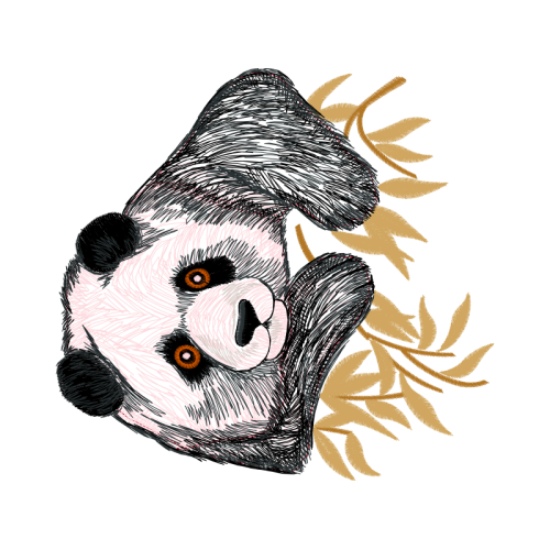 Drawing Animals Drawing Animals