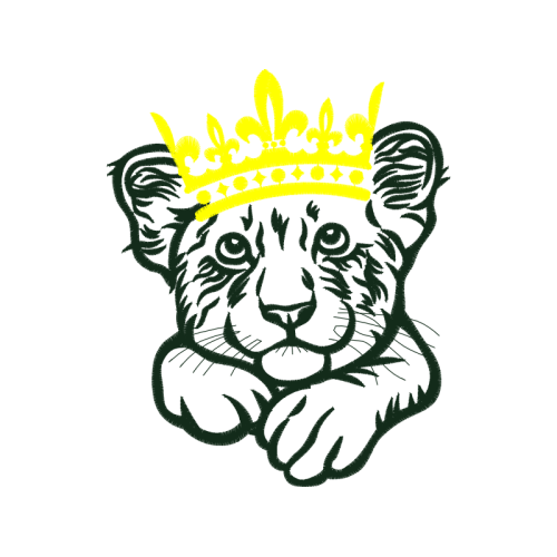 Drawing Animals Drawing Animals