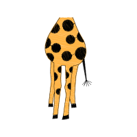 Drawing Animals Drawing Animals