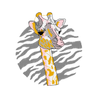 Drawing Animals Drawing Animals