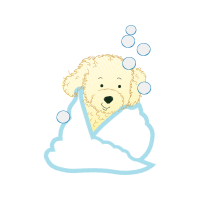 Drawing Animals Drawing Animals