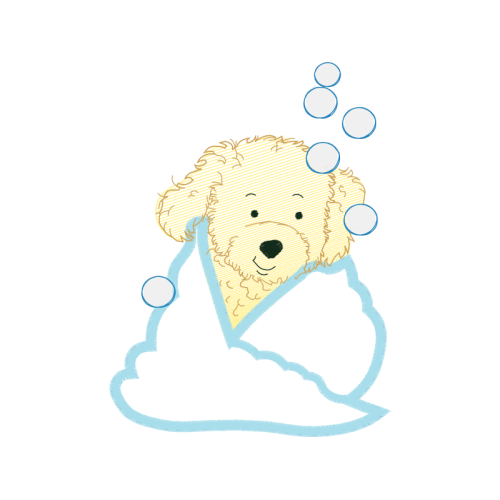 Drawing Animals Drawing Animals