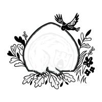 Drawing Animals Drawing Animals